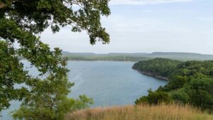 ENVIRONMENTAL SURVEY